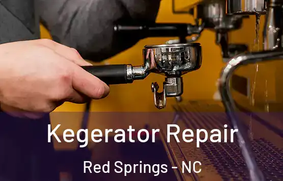  Kegerator Repair Red Springs - NC