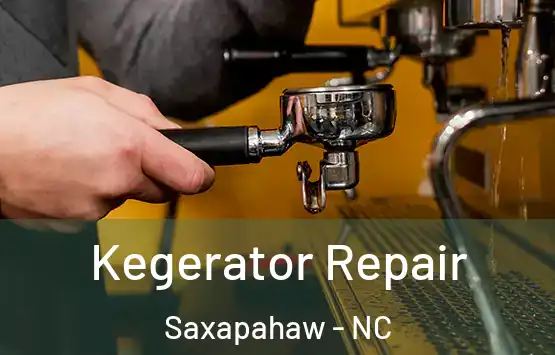  Kegerator Repair Saxapahaw - NC