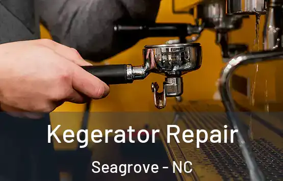 Kegerator Repair Seagrove - NC