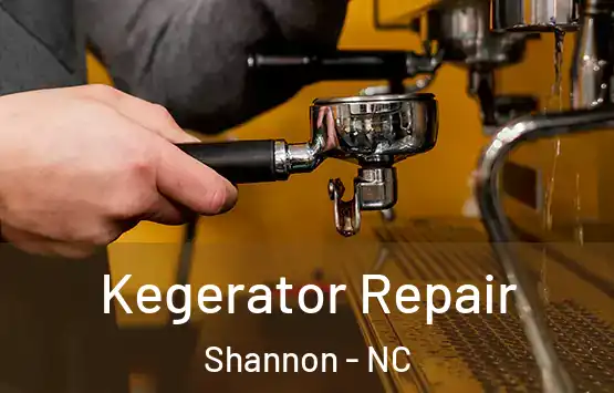  Kegerator Repair Shannon - NC