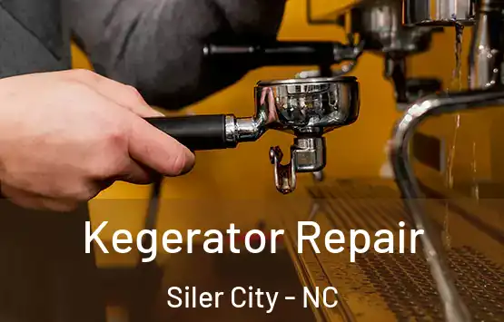  Kegerator Repair Siler City - NC