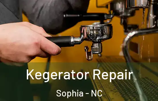  Kegerator Repair Sophia - NC