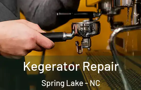  Kegerator Repair Spring Lake - NC