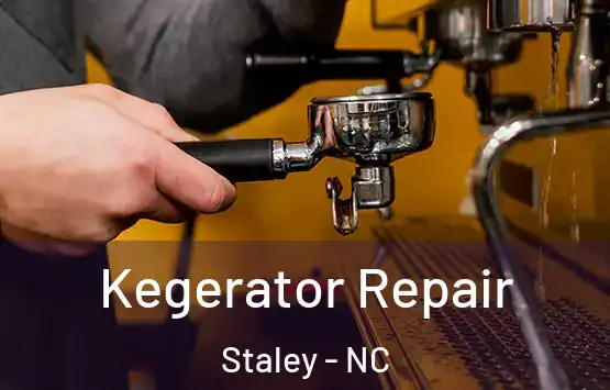  Kegerator Repair Staley - NC