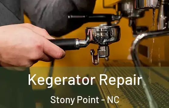  Kegerator Repair Stony Point - NC