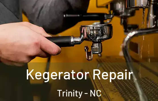  Kegerator Repair Trinity - NC