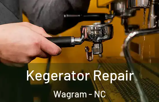  Kegerator Repair Wagram - NC