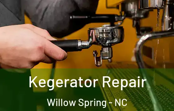  Kegerator Repair Willow Spring - NC