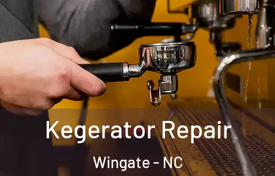  Kegerator Repair Wingate - NC
