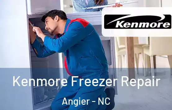  Kenmore Freezer Repair Angier - NC