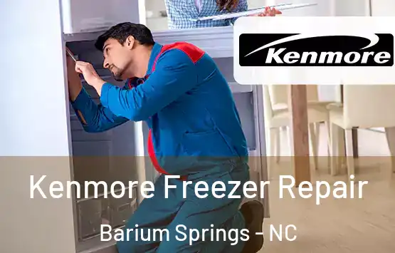  Kenmore Freezer Repair Barium Springs - NC