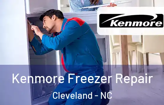  Kenmore Freezer Repair Cleveland - NC