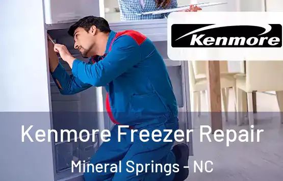  Kenmore Freezer Repair Mineral Springs - NC