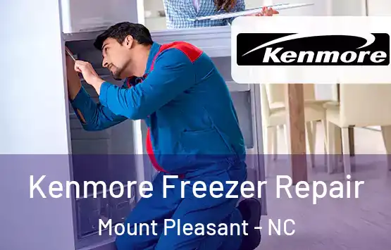  Kenmore Freezer Repair Mount Pleasant - NC