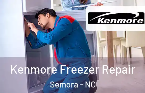  Kenmore Freezer Repair Semora - NC