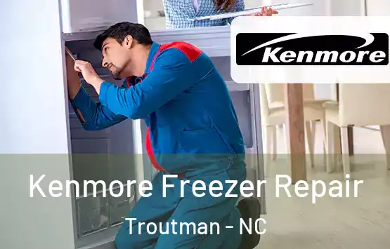  Kenmore Freezer Repair Troutman - NC