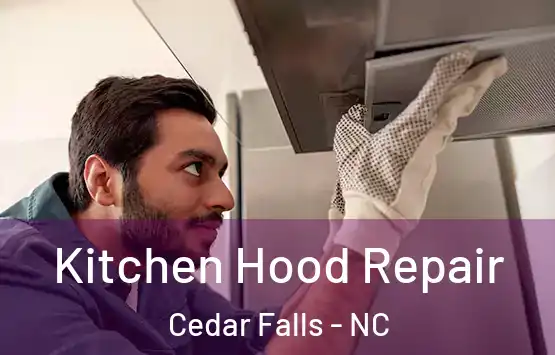  Kitchen Hood Repair Cedar Falls - NC