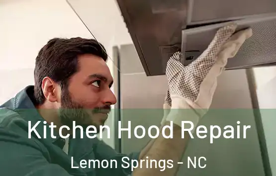  Kitchen Hood Repair Lemon Springs - NC