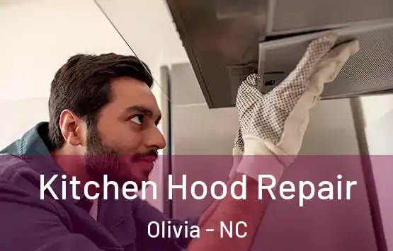  Kitchen Hood Repair Olivia - NC