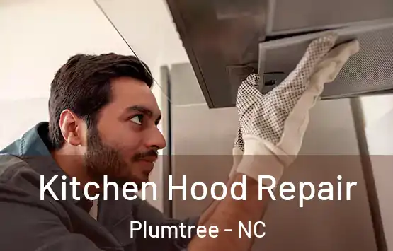  Kitchen Hood Repair Plumtree - NC