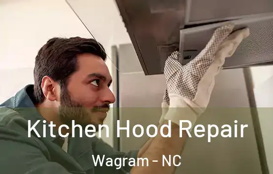  Kitchen Hood Repair Wagram - NC