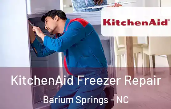  KitchenAid Freezer Repair Barium Springs - NC