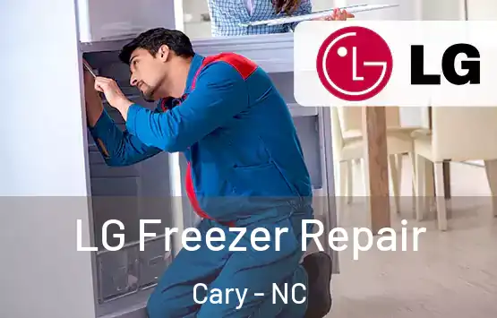  LG Freezer Repair Cary - NC