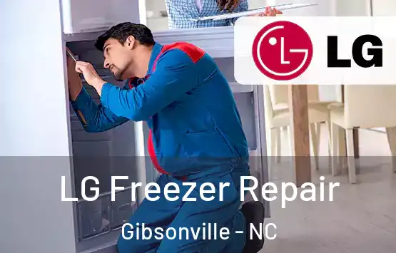  LG Freezer Repair Gibsonville - NC