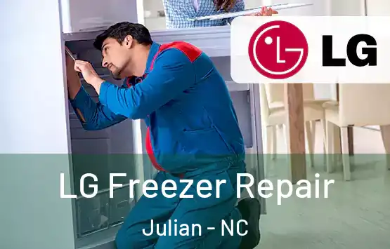  LG Freezer Repair Julian - NC