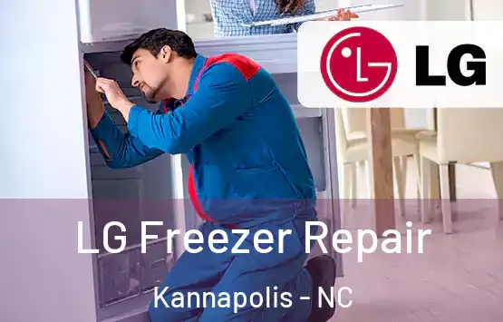  LG Freezer Repair Kannapolis - NC