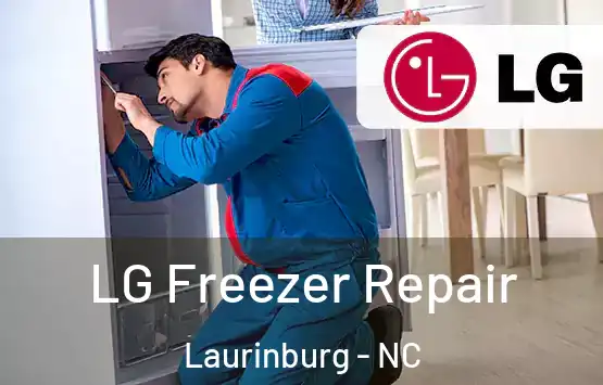  LG Freezer Repair Laurinburg - NC