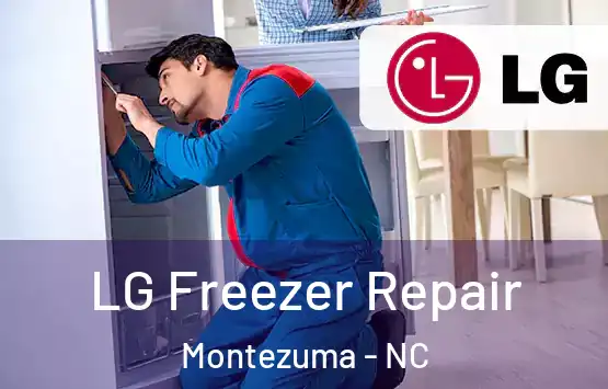  LG Freezer Repair Montezuma - NC