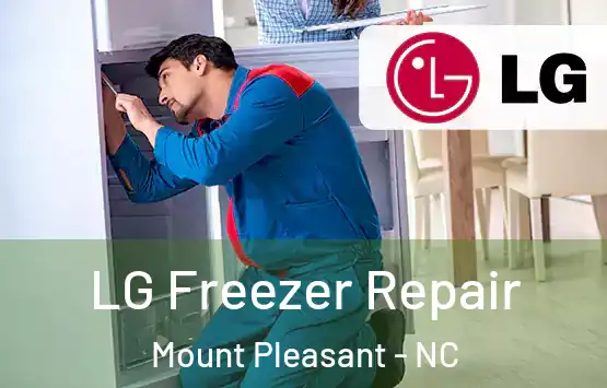  LG Freezer Repair Mount Pleasant - NC