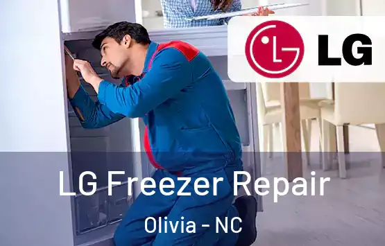  LG Freezer Repair Olivia - NC