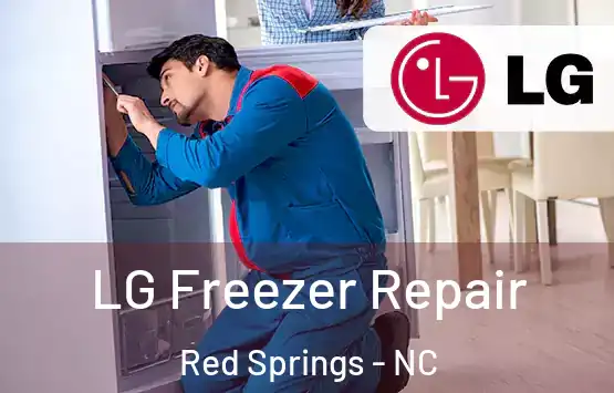  LG Freezer Repair Red Springs - NC