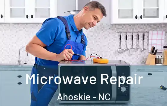  Microwave Repair Ahoskie - NC