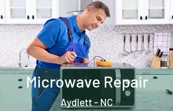  Microwave Repair Aydlett - NC
