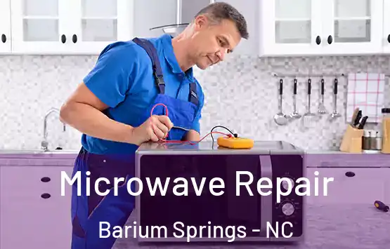  Microwave Repair Barium Springs - NC