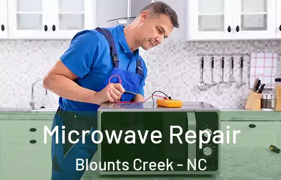  Microwave Repair Blounts Creek - NC