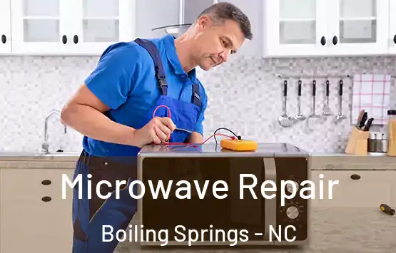  Microwave Repair Boiling Springs - NC