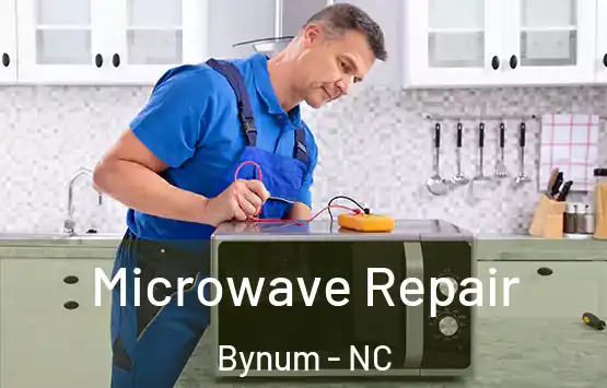  Microwave Repair Bynum - NC