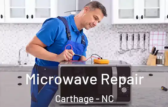  Microwave Repair Carthage - NC