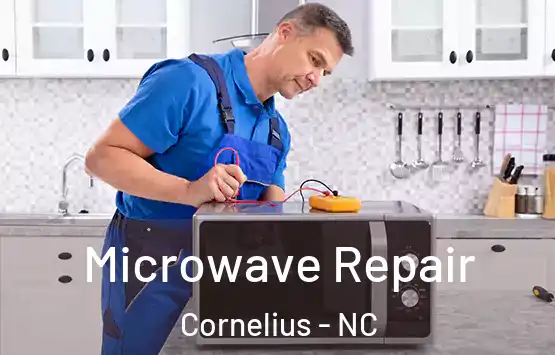  Microwave Repair Cornelius - NC