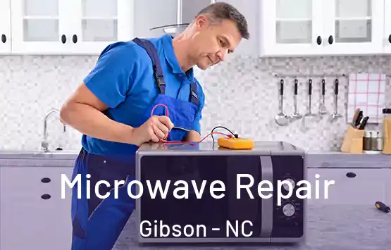  Microwave Repair Gibson - NC