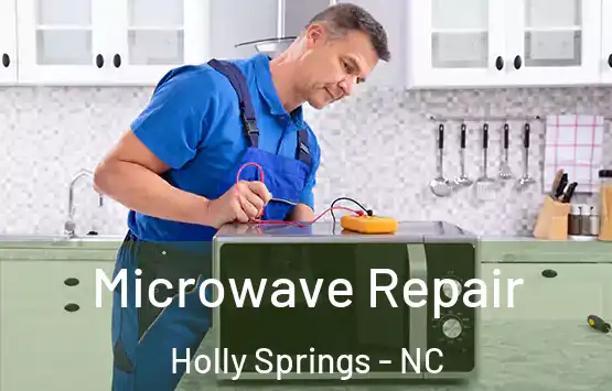  Microwave Repair Holly Springs - NC