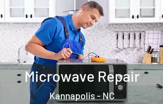  Microwave Repair Kannapolis - NC