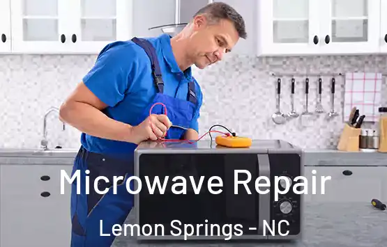  Microwave Repair Lemon Springs - NC