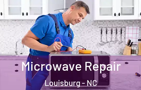  Microwave Repair Louisburg - NC