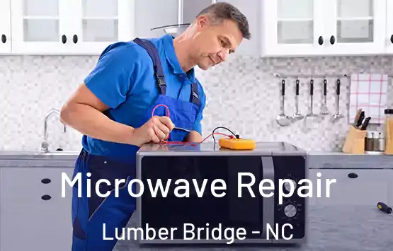 Microwave Repair Lumber Bridge - NC