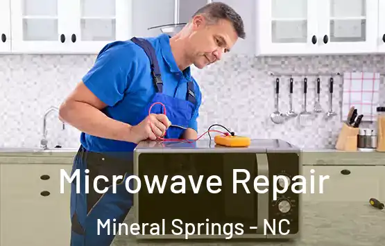  Microwave Repair Mineral Springs - NC